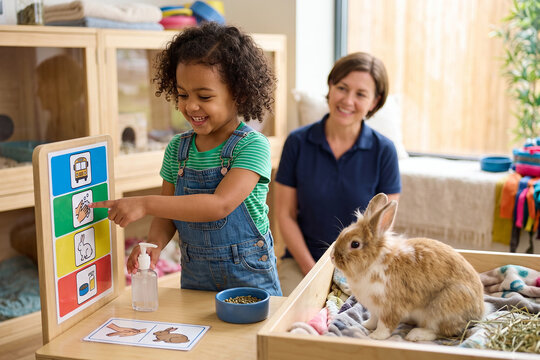 Pet Care Visual Schedule Supporting Preschool Life Skills