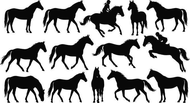 Horse silhouette vector illustration set featuring equestrian riders jumping galloping trotting and standing stallion icons isolated on white background