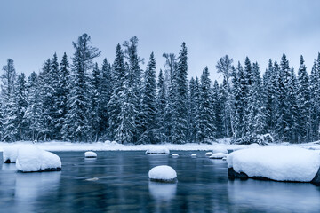 A tranquil winter scene featuring a snow-laden coniferous forest lining a calm, snow-dusted river in a pristine natural landscape. © tai