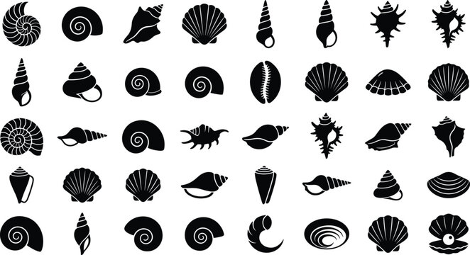Minimalist black seashell silhouette vector collection featuring various marine conch mollusk and scallop icons isolated on a white background.
