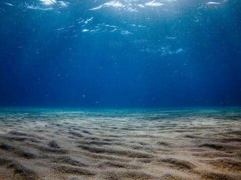 underwater view of seafloor 