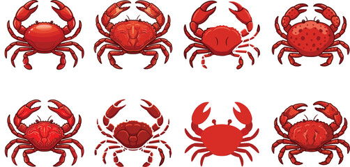 Red crab vector illustration collection featuring various realistic and cartoon style marine crustacean icons isolated on white background. © MdRobiul