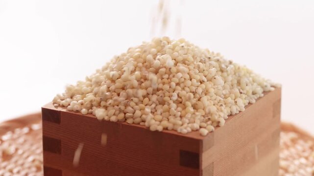 ［アメリカ産］ホワイトソルガム　白高きび　粒