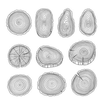 Set of various wood trunk and log cross section circles