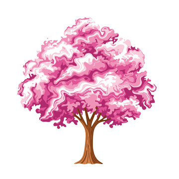 Beautiful blooming cherry blossom tree with vibrant pink flowers isolated on white background 1. EPS Editable