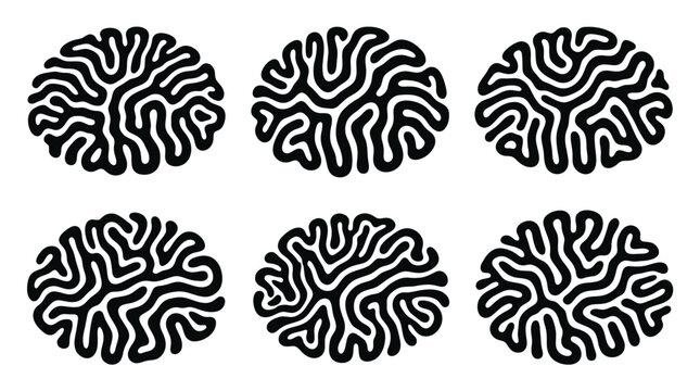 Black brain coral circular patterns.