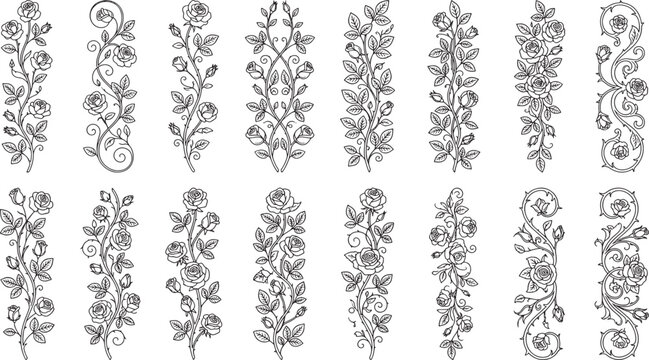 Set of vertical floral borders and decorative rose vine with leaves and buds in a black and white line style