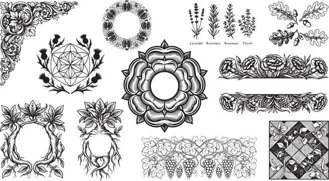 Set of vintage botanical and floral engraving including wreaths, borders, frames, and herbs isolated on a white background