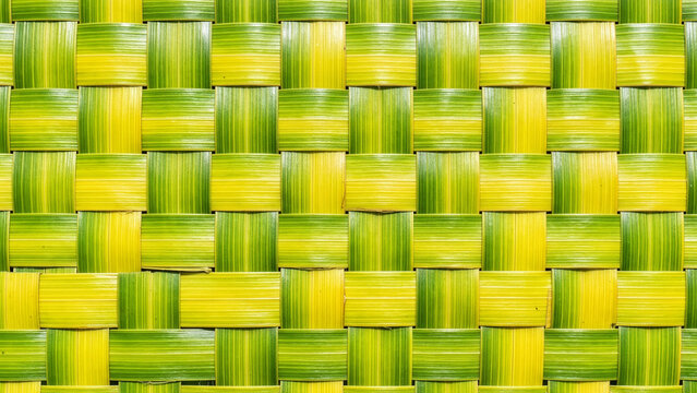 Close up texture of woven green and yellow tropical palm leaves