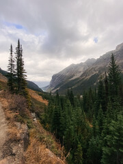 Obraz premium Mountain valley with dramatic clouds and evergreen forest.