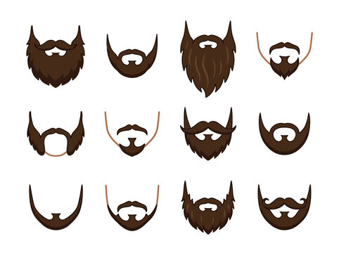 Set of Various Brown Beard Styles for Men