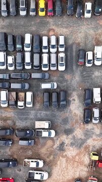 cars parked in a row for sale and auction, cars lined up for easier inspection, vertical video