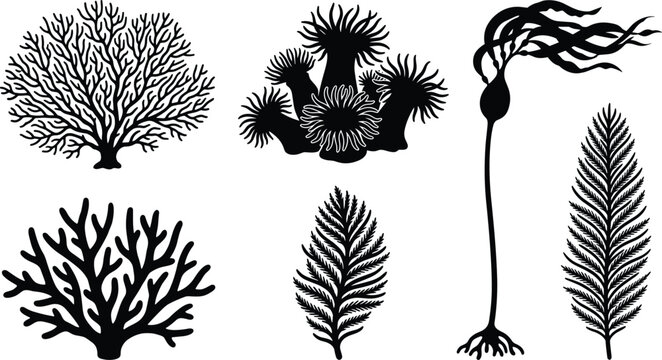 Set of black coral reef silhouettes, sea anemones, and underwater kelp plants for marine design