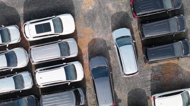 cars parked in a row for sale and auction, cars lined up for easier inspection