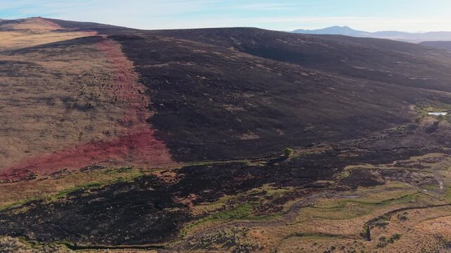 Drone video flying toward the Biscar Fire retardant line on a Lassen County, California hillside, revealing the dramatic red suppression line were forward progress was stopped.