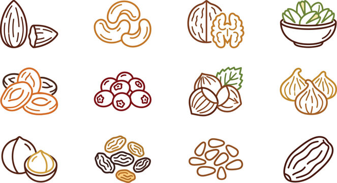 Set of colorful hand drawn nut and dried fruit icons.