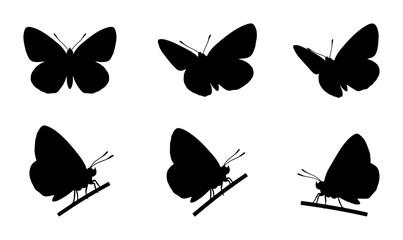 Six Black Butterfly Silhouettes, Vector Icons, Insect Graphics, Nature Elements, Isolated Shapes © Krishna