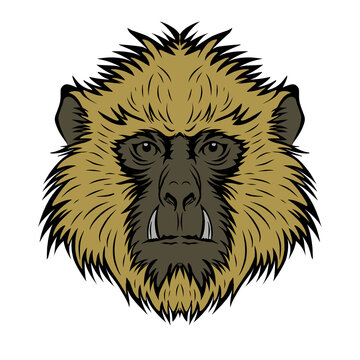 Golden baboon monkey head vector illustration aggressive primate mascot badge t-shirt print design