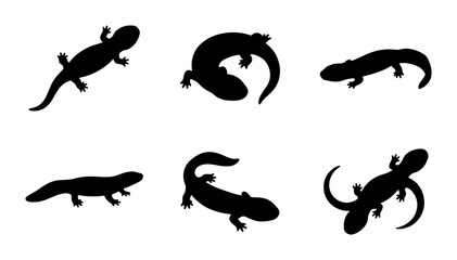 Obraz premium Salamander Silhouettes, Amphibian Vector Icons, Reptile Wildlife Graphics, Nature Animal Set