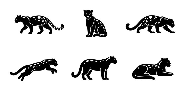 Black Panther Silhouettes, Six Poses Vector Set, Wild Animal Graphic Collection
