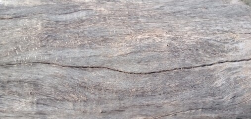 Fototapeta premium Weathered rustic wood log texture background with natural cracks and grain pattern