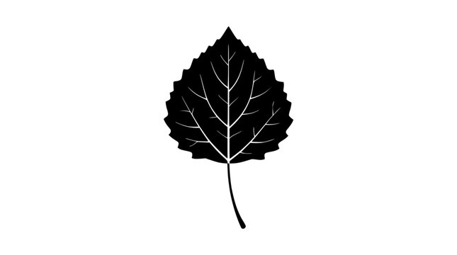Black silhouette of an aspen leaf with detailed veins on white background, isolated