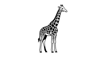 Stylized Giraffe Silhouette, Black and White Line Art, Minimalist Zoo Animal Illustration © vectorrr