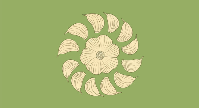 Circular pattern of garlic cloves arranged around a central bulb