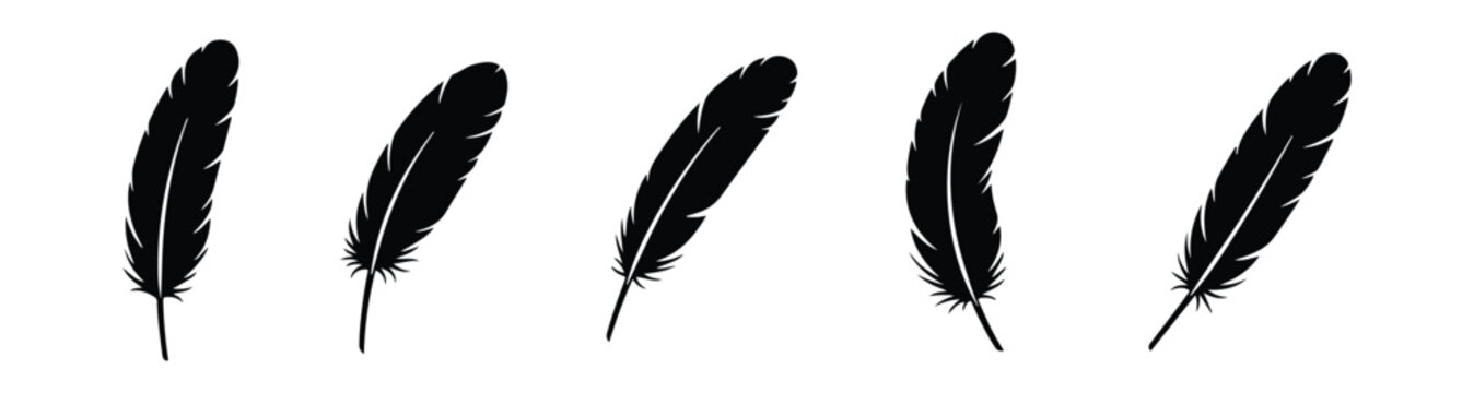 Collection of elegant feather silhouettes with various bird feather shapes in a minimalist vector design.