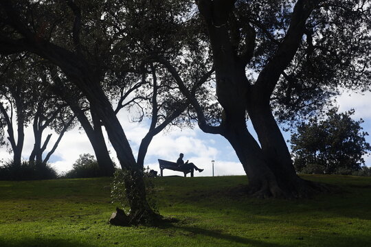 Having a break on the bench under the trees. 