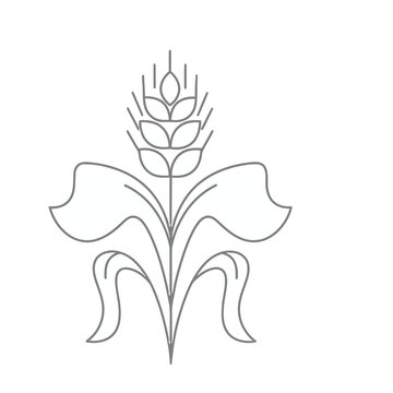 Wheat stalk line art