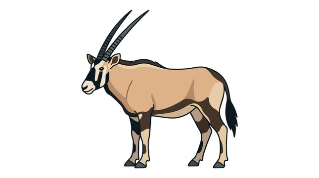 Profile of a Large African Oryx Gemsbok Antelope with Long Horns Isolated on White Background for Wildlife Nature Design