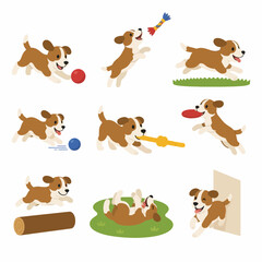 Fototapeta premium Vector set of nine beagle puppy illustrations showing active behaviors like running, catching a frisbee, chewing a rope toy, jumping over obstacles, and rolling in grass on white background.