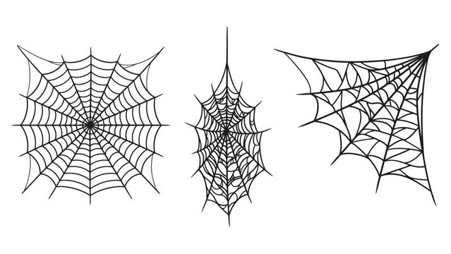 Set of three different hand drawn spider webs for halloween holiday decoration and spooky designs Vector