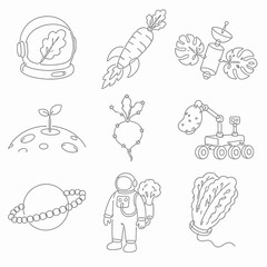 Obraz premium Minimalist line art icons merging space exploration with agriculture featuring carrot rocket, potato rover, astronaut with broccoli, and cosmic vegetables on a white background.