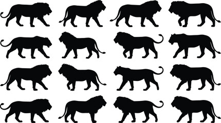 Set of fifteen black lion silhouettes in various walking and stalking poses, isolated on a white background, for projects © GR Graphics
