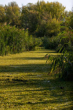 Carska Bara Natural reserve in Vojvodina, Serbia