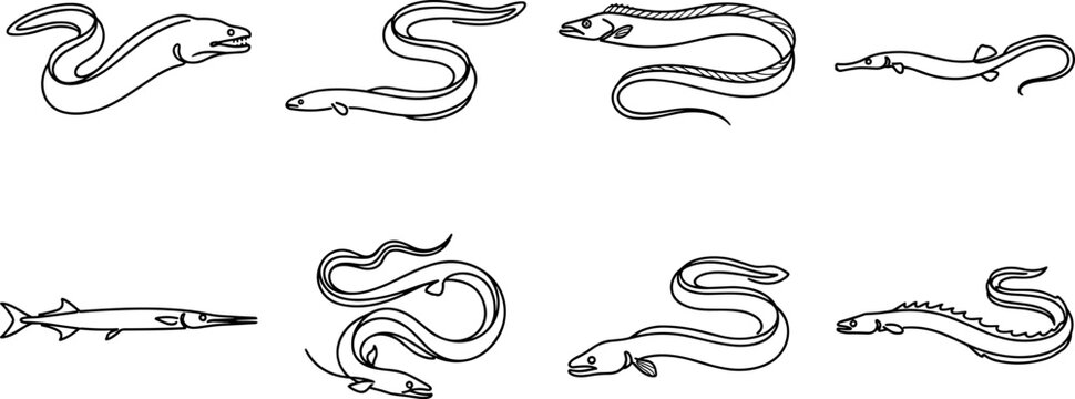 Eel outline vector set featuring diverse elongated fish species drawings