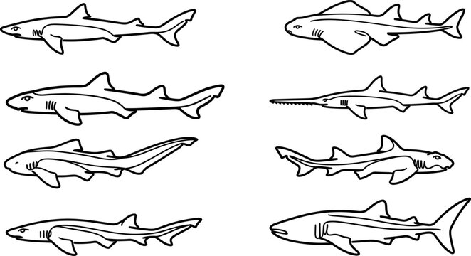 Shark Silhouette Vector Collection for Marine Biology and Design