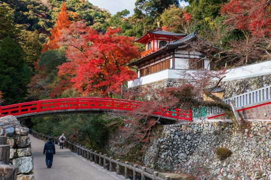 Tourists walk under red bridge of Ryuanji Kyakuden temple in fall, Osaka