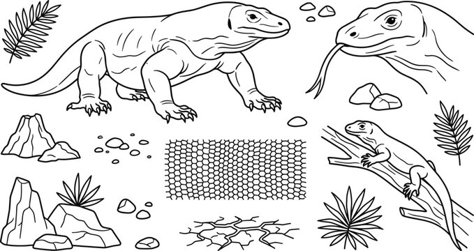 Komodo Dragon Lizard Wildlife Vector Set with Tropical Elements and Reptile Scale Textures