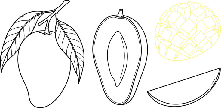 Mango Fruit Slices and Cubed Cut Outs Line Art Icon Set Vector Designs