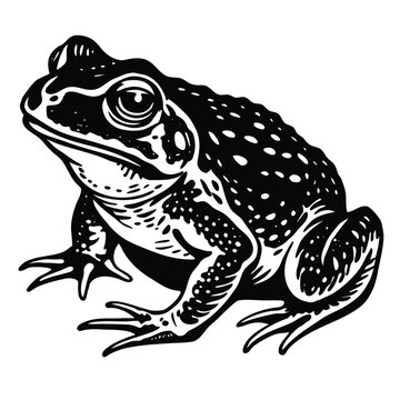Frog logo. Abstract frog on white background