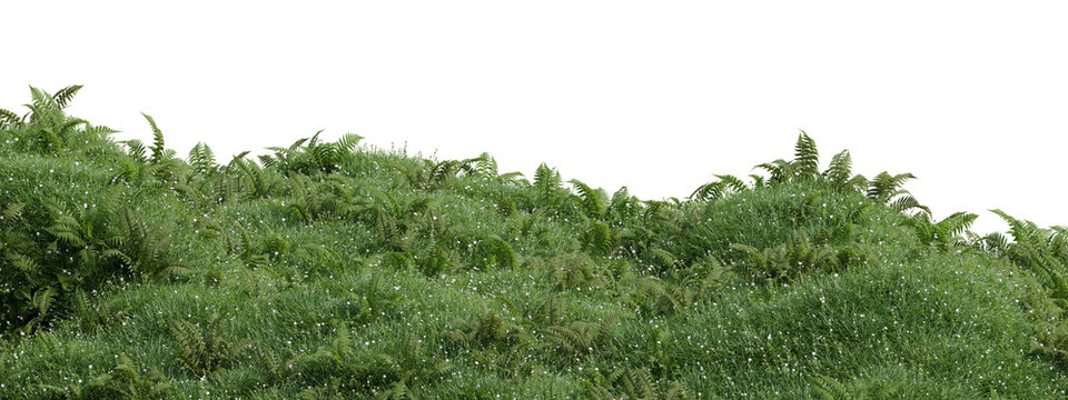 3d dense green foliage with small white flowers, a natural plant border with lush leaves and delicate blossoms, ideal for landscaping and spring themes