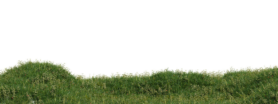 3d Green hedge border with small red flowers, lush foliage, natural grass on transparent background