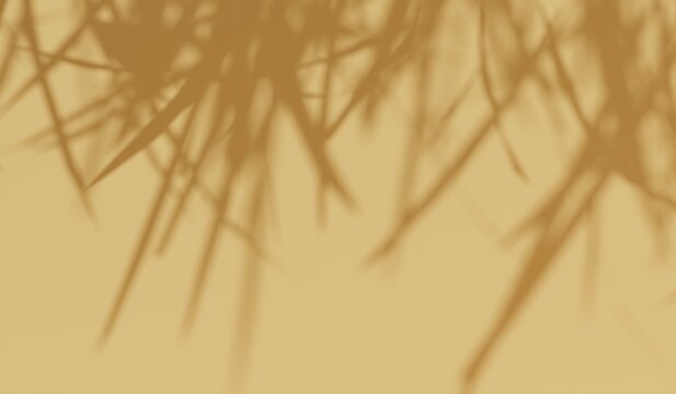 abstract shadow of grass blades on a golden background, creating a natural texture and serene atmosphere, perfect for overlay effects