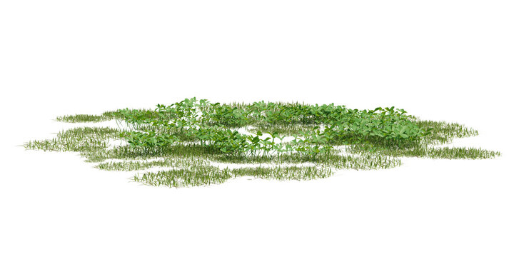 Isolated clump of 3d green grass with distinct leaves and blades on a transparent background, natural growth pattern