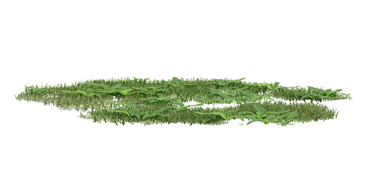 Isolated patch of 3d green grass, showing a natural texture and lush growth, perfect for landscape design or environmental concepts