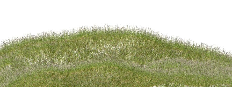 isolated patch of 3d lush green grass, detailed texture and natural growth, suitable for ecological themes on transparent background