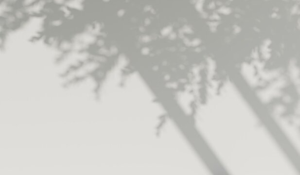 Shadows cast by tree leaves and window frames on a neutral textured wall, creating a serene natural overlay effect